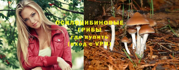 мескалин Белокуриха